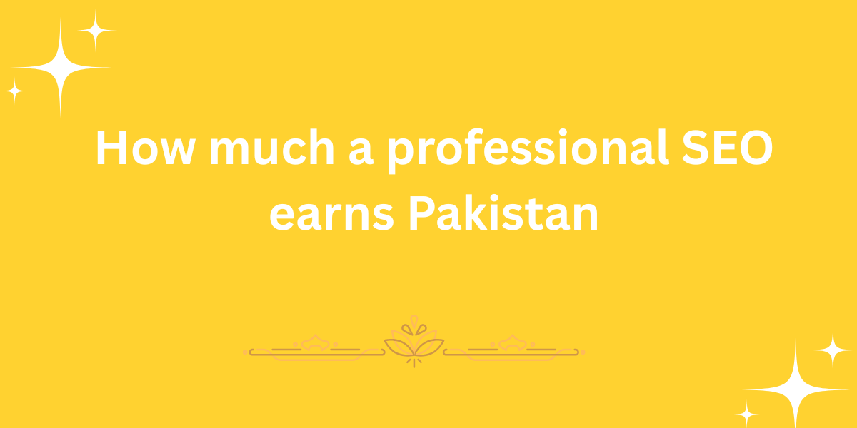 How much a professional SEO earns Pakistan