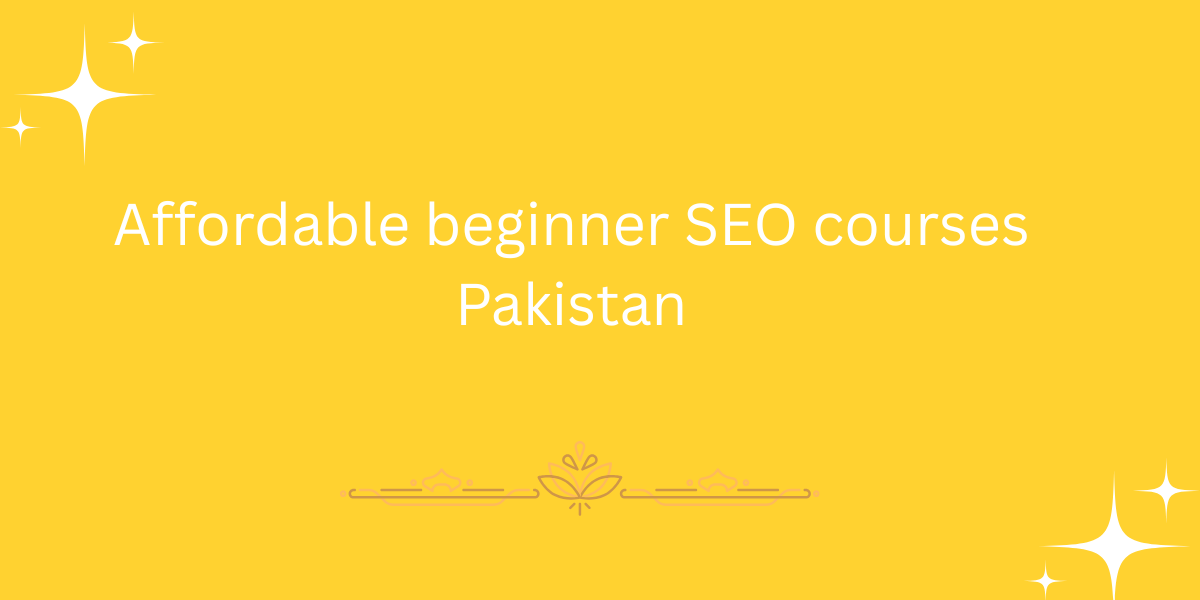 Affordable beginner SEO courses Pakistan