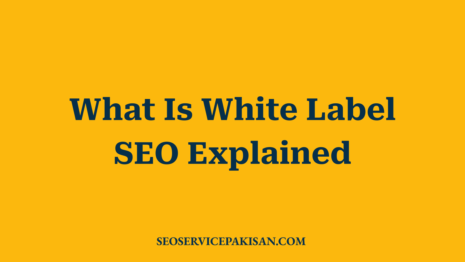 What Is White Label SEO Explained