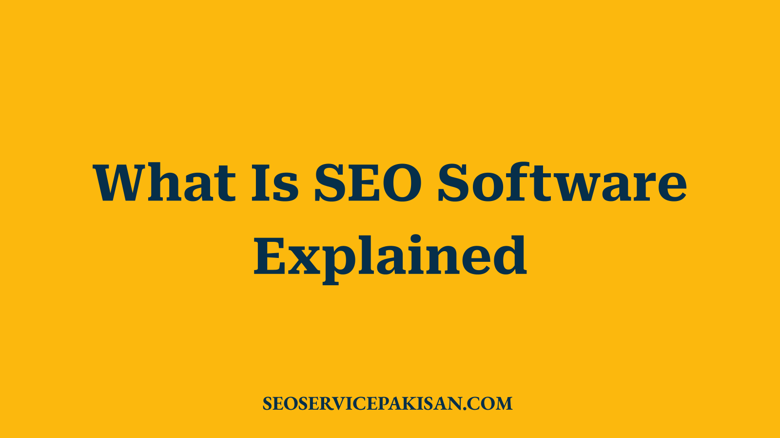 What Is SEO Software Explained