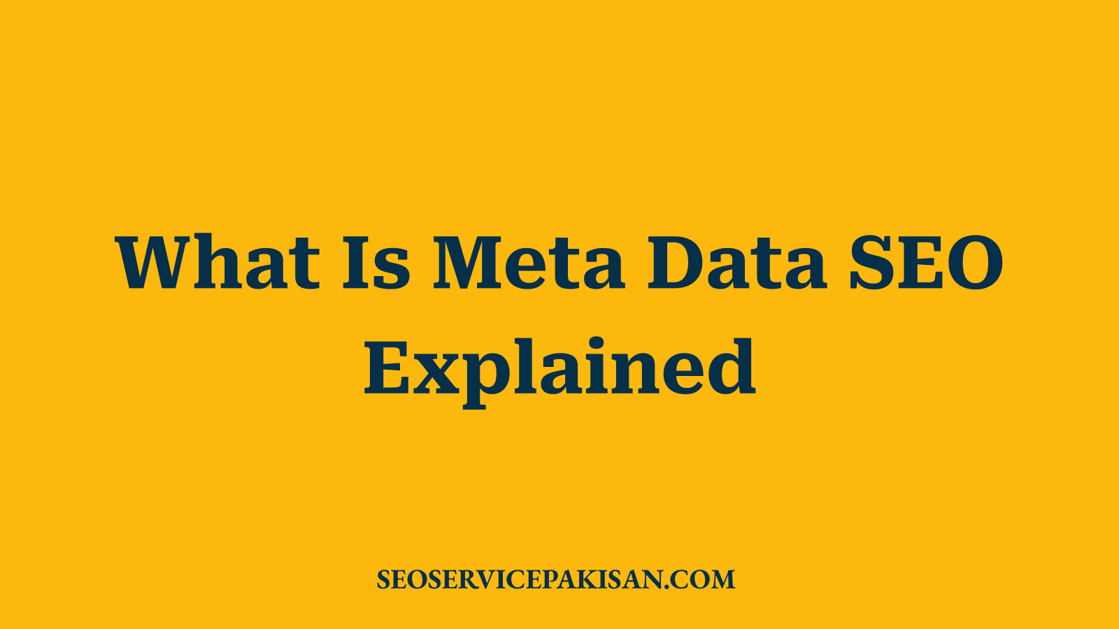 What Is Meta Data SEO Explained